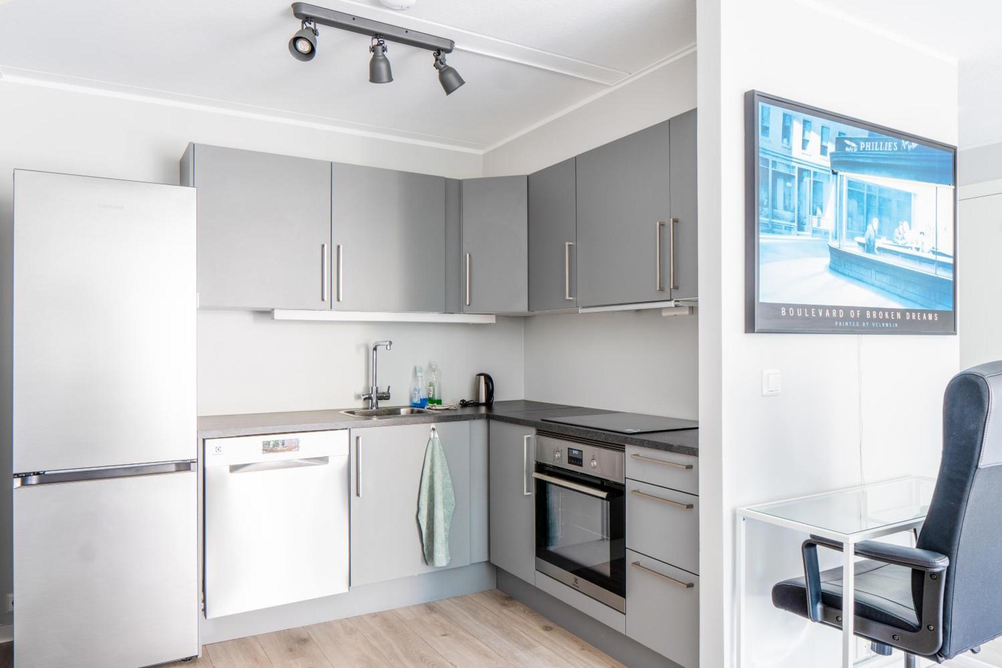 Refurbished And Spacious 1 Bedroom * Oslo